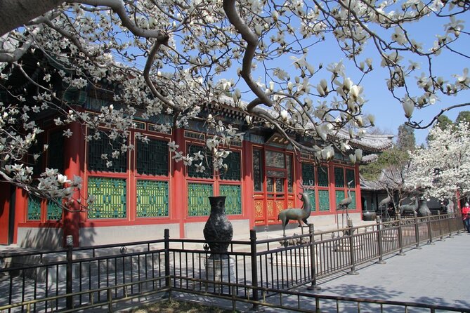 Summer Palace Ticket with optional Guided Tour - Kunming Lake: the broad center of the palace grounds