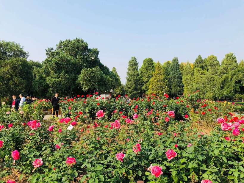 Temple of Heaven Ticket - What the ticket does not include