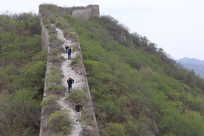 Wild Great Wall Hikes - Walking the Huanghua and Yellow Flower sections
