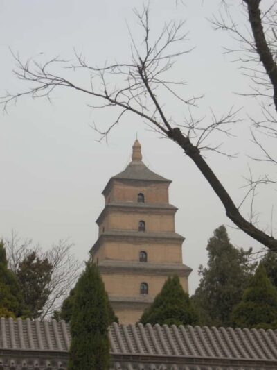 Terra-Cotta Warriors Entry with Optional Guide