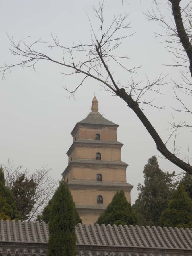 Xi'an: Terra-Cotta Warriors Entry with Optional Guide - Choosing between tickets, transport, and a guide