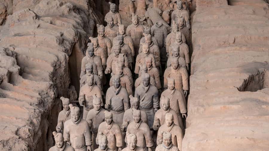 Xian: Bus Tour of Terracotta Warriors With Guide & Lunch - Lunch with local dishes and vegetarian options